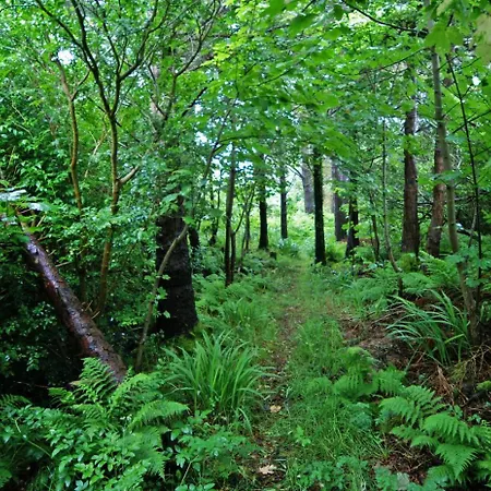 بيت للعطل 4 Bed In Portmagee Oc-i164 Lateeve