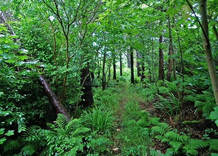 Dom wakacyjny 4 Bed In Portmagee Oc-i164 Valentia Island